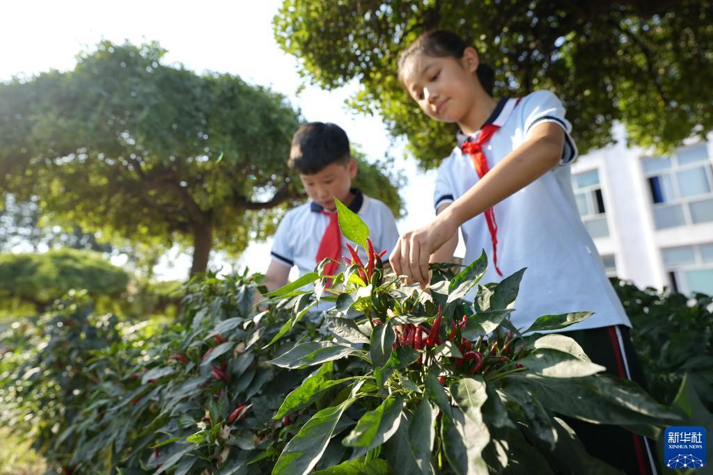 欧赔合理区间表